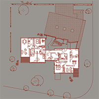 Plants: image 4 0f 6 thumb