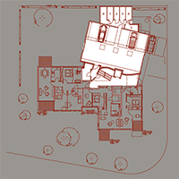 Plants: image 2 0f 6 thumb
